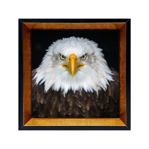 خرید کاشی دکوری قابدار