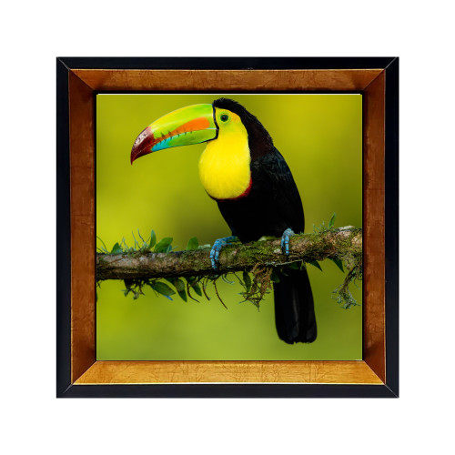 خرید تابلو کاشی دکوری قابدار