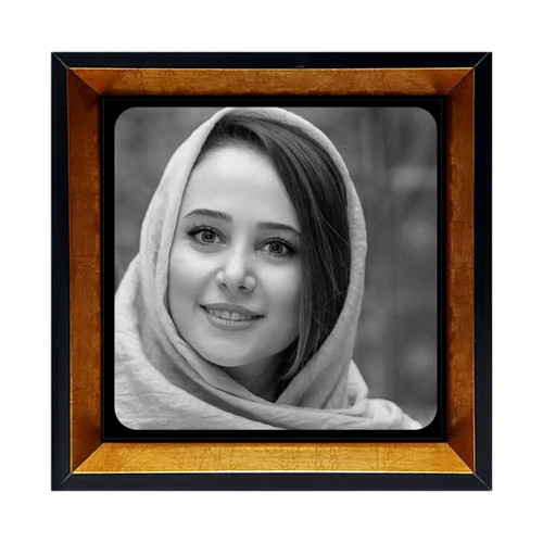 خرید قاب الناز حبیبی