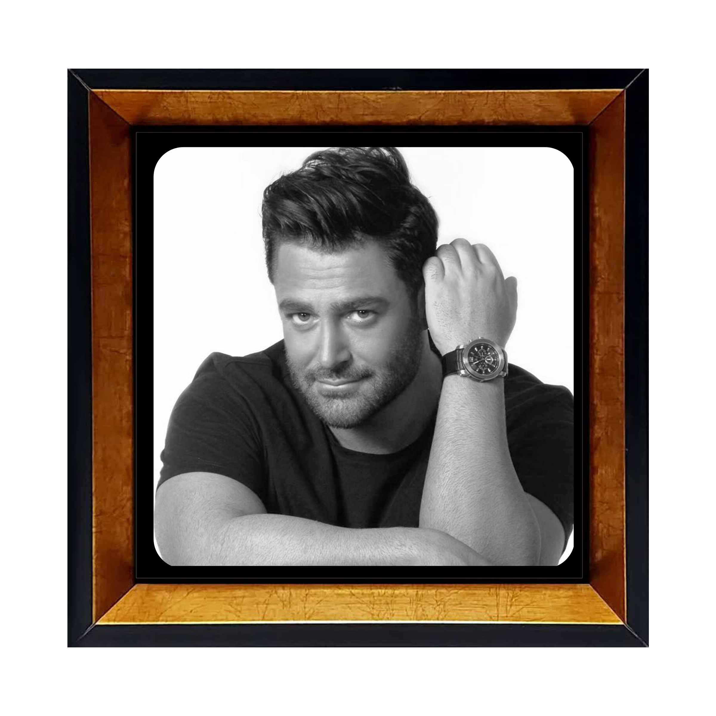 قاب کاشی محمدرضا گلزار