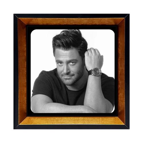 قاب کاشی محمدرضا گلزار