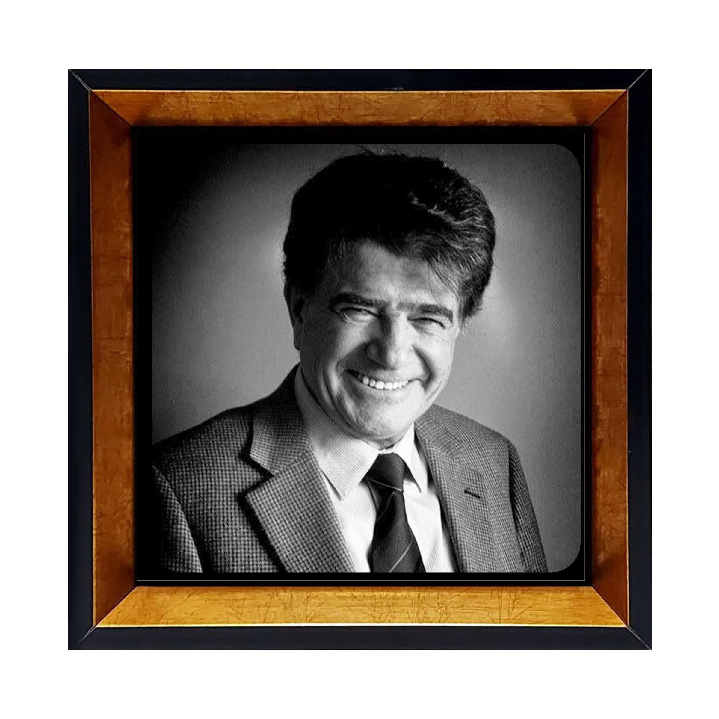 خرید قاب شجریان