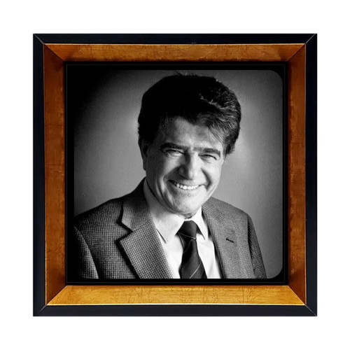 خرید قاب شجریان