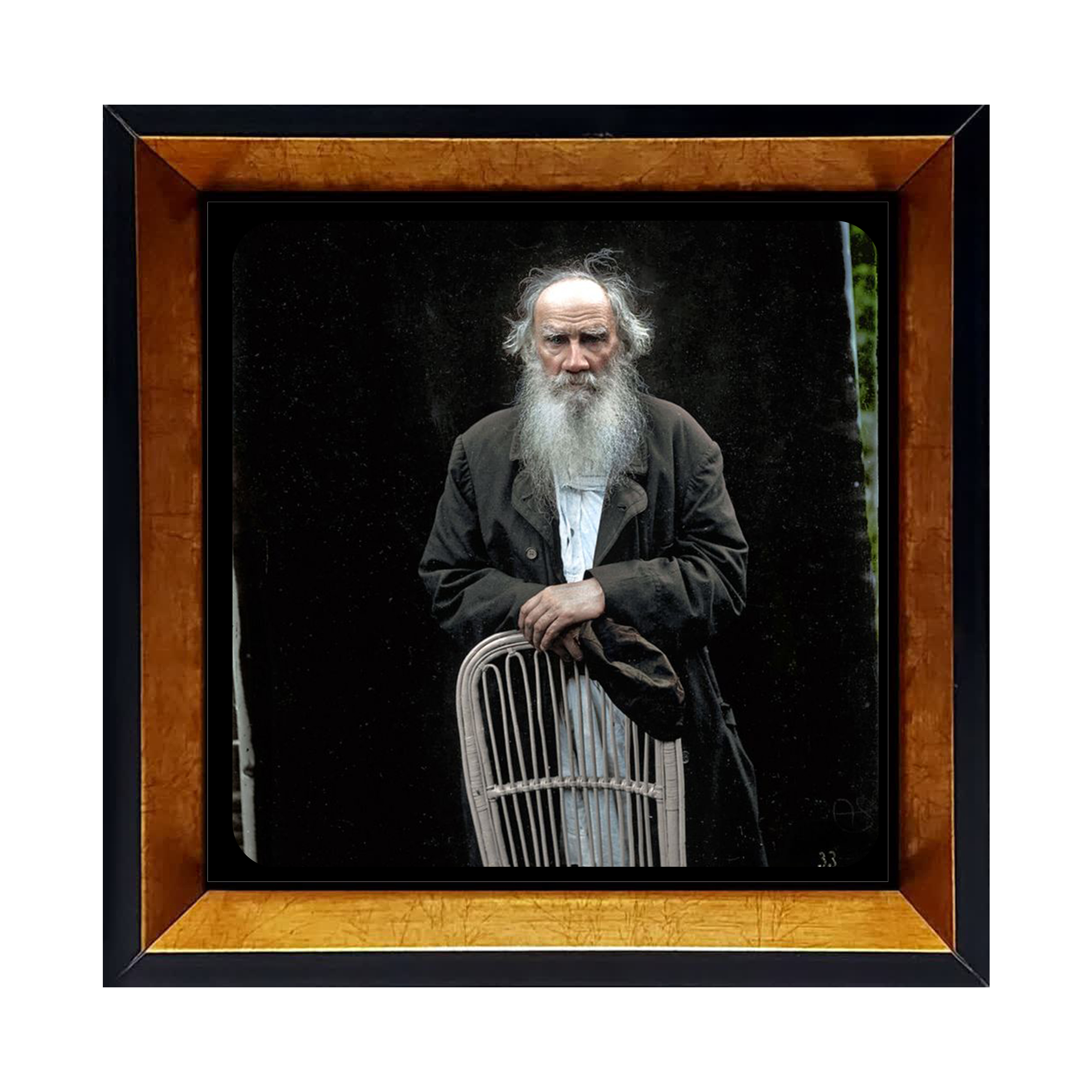 خرید اینترنتی قاب لئو تولستوی