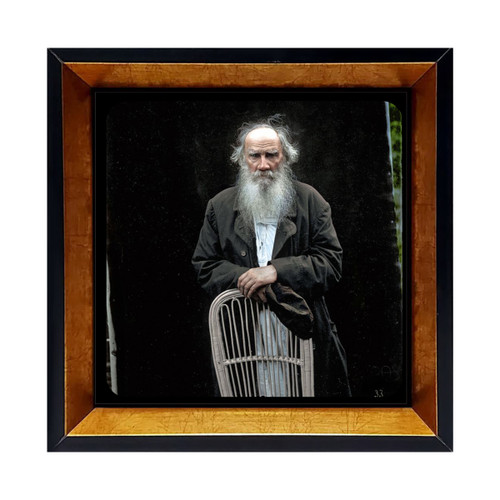 خرید اینترنتی قاب لئو تولستوی