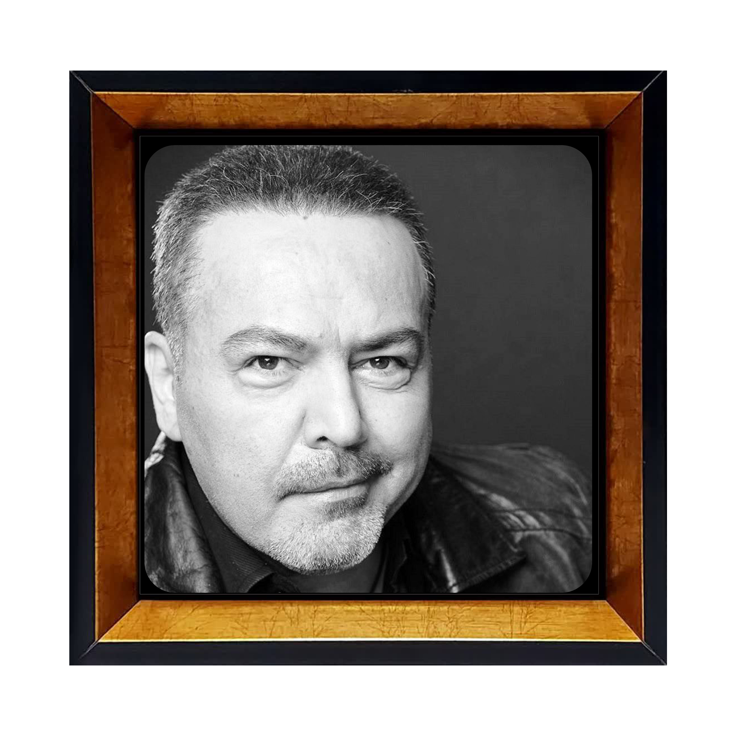 قاب عکس فریبرز عرب نیا