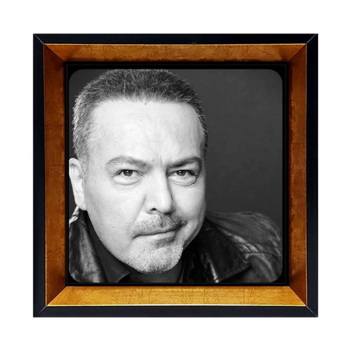 قاب عکس فریبرز عرب نیا