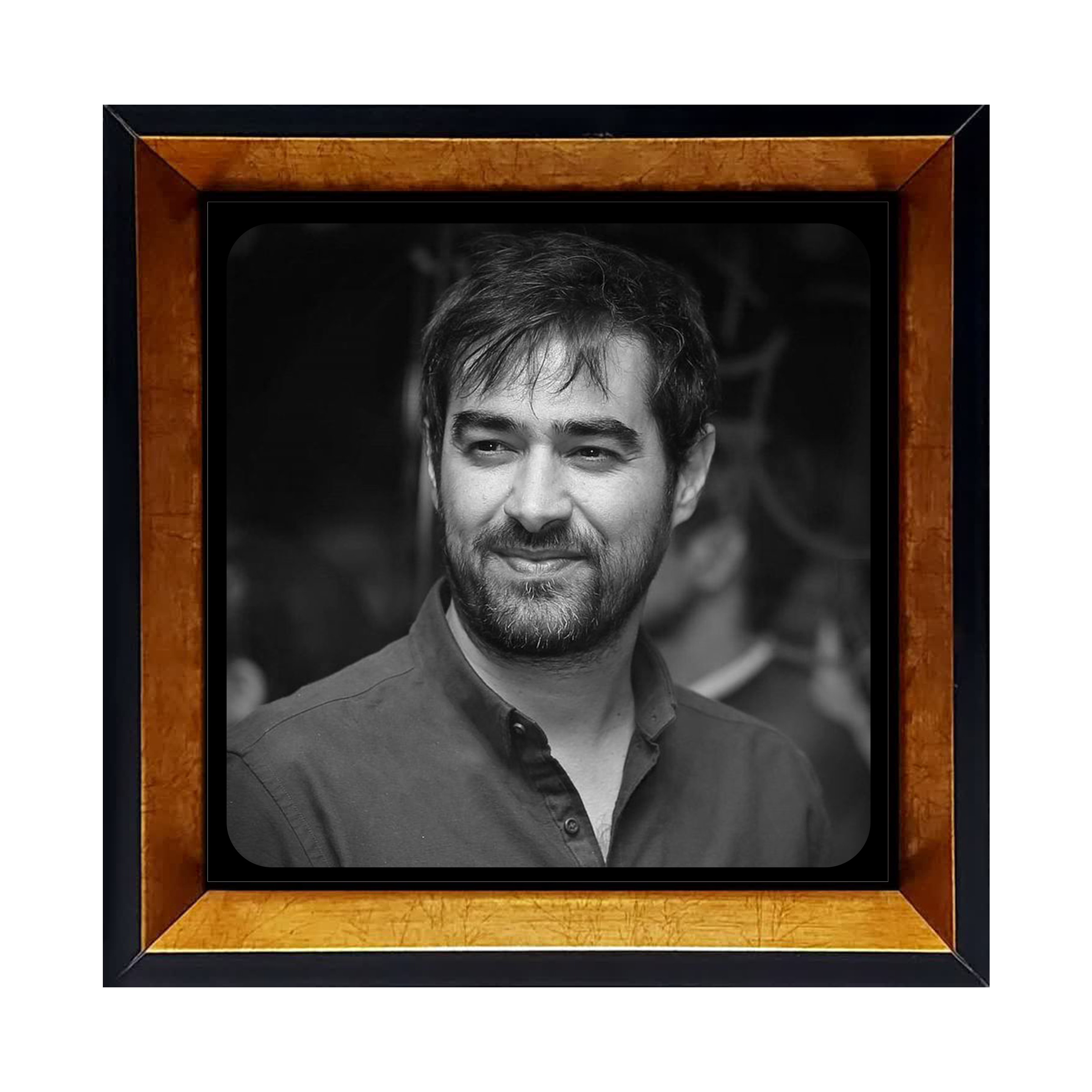 قاب عکس شهاب حسینی