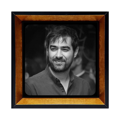 قاب عکس شهاب حسینی